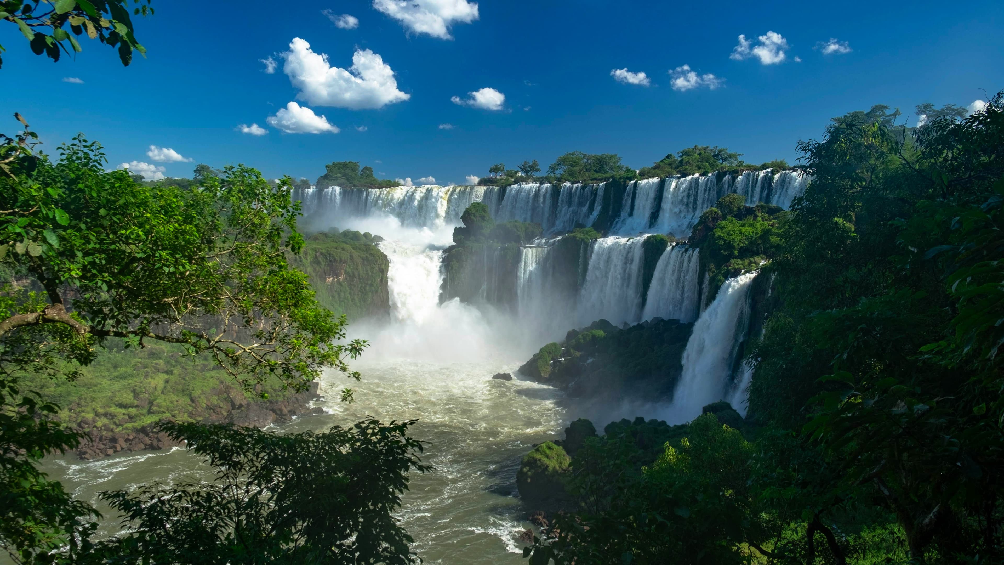 Argentine