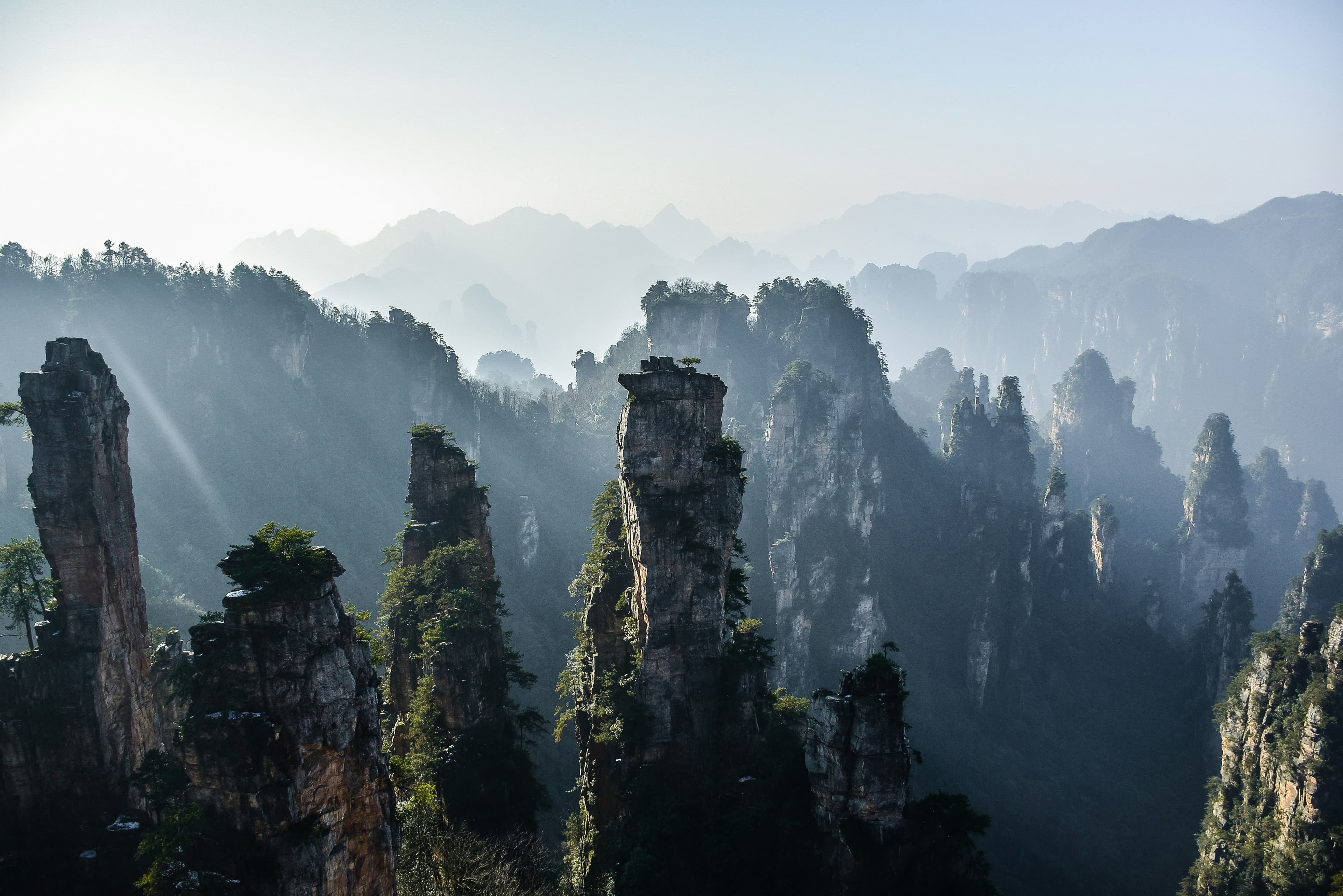 Chine