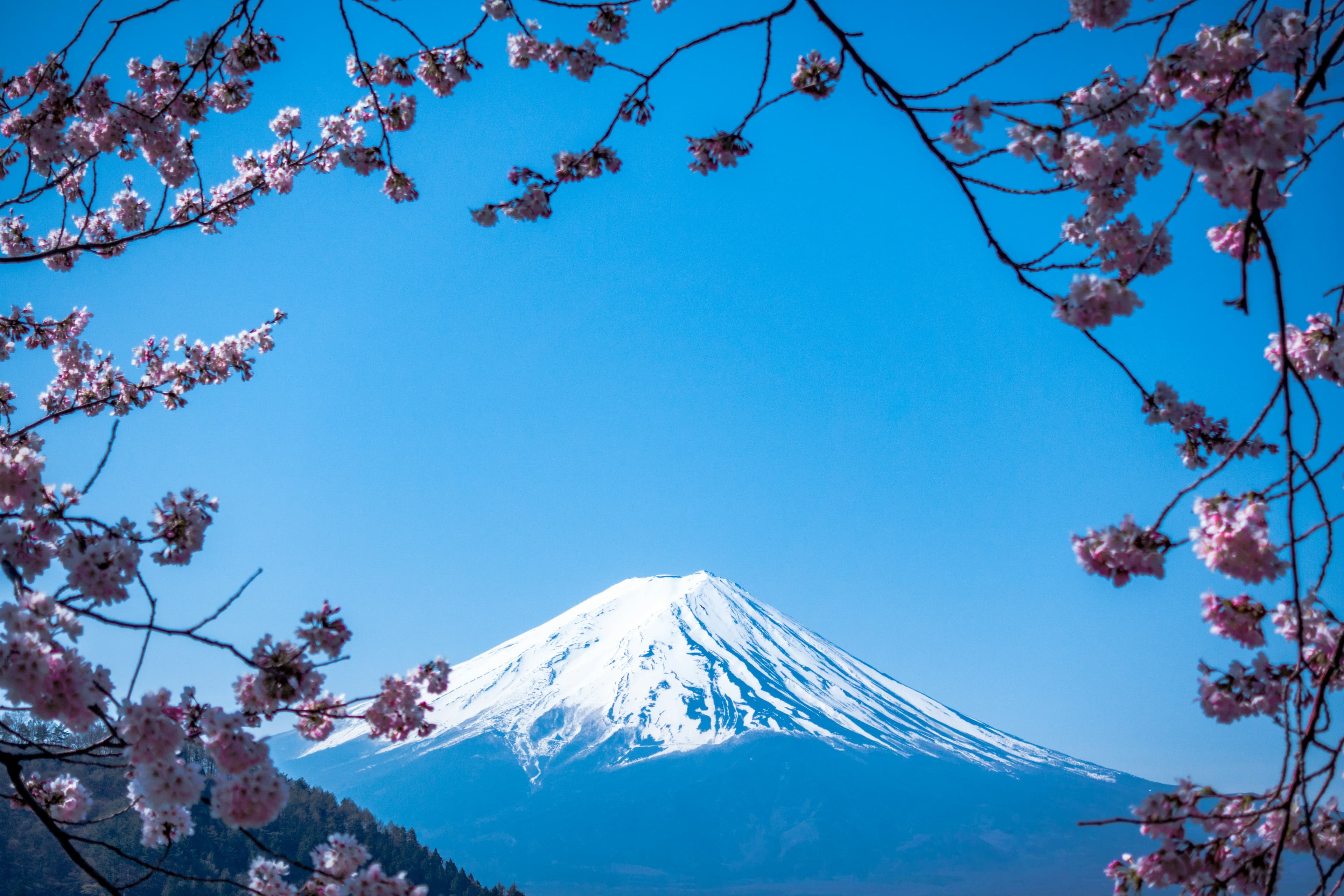 Japon