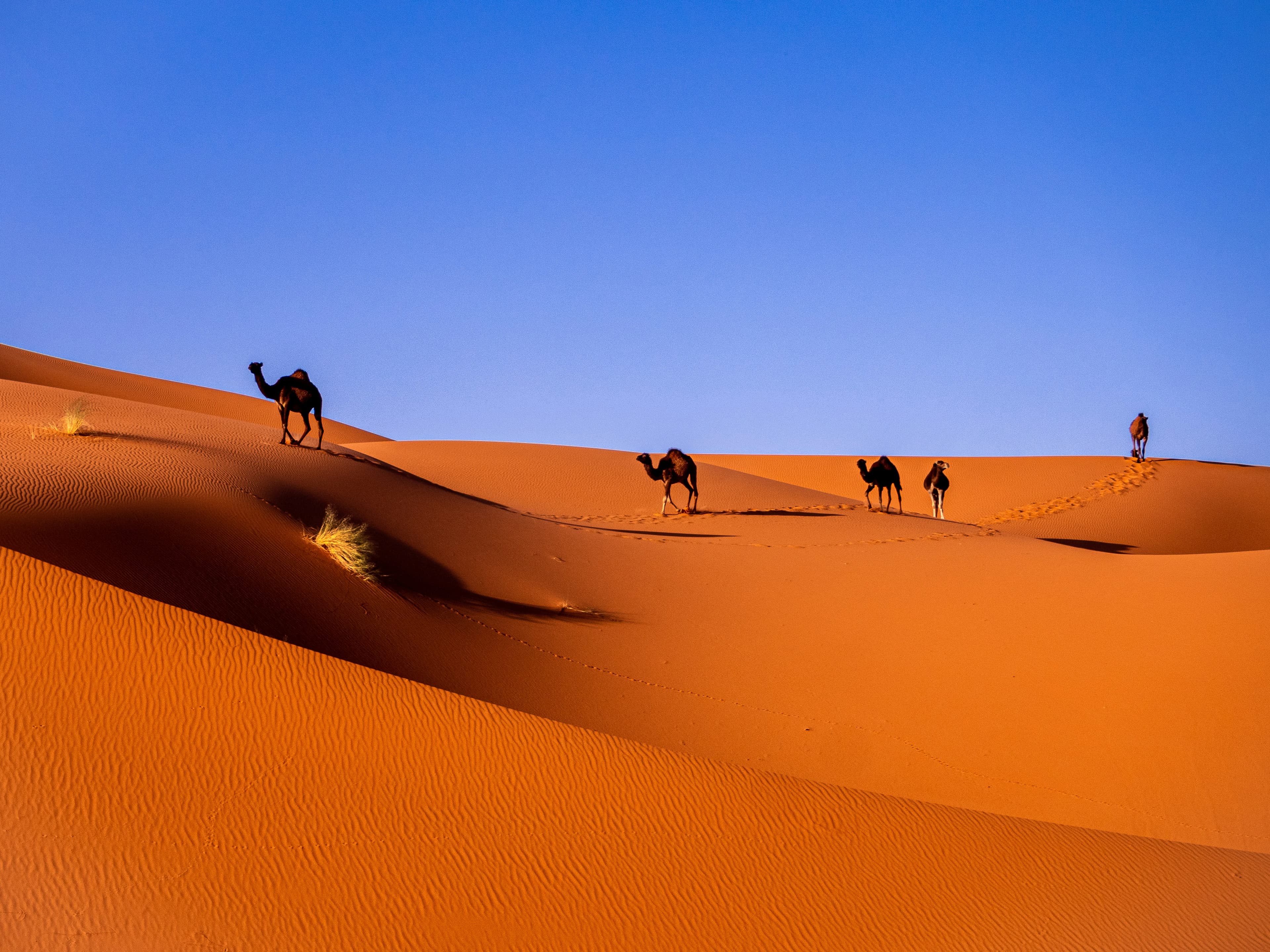 Maroc