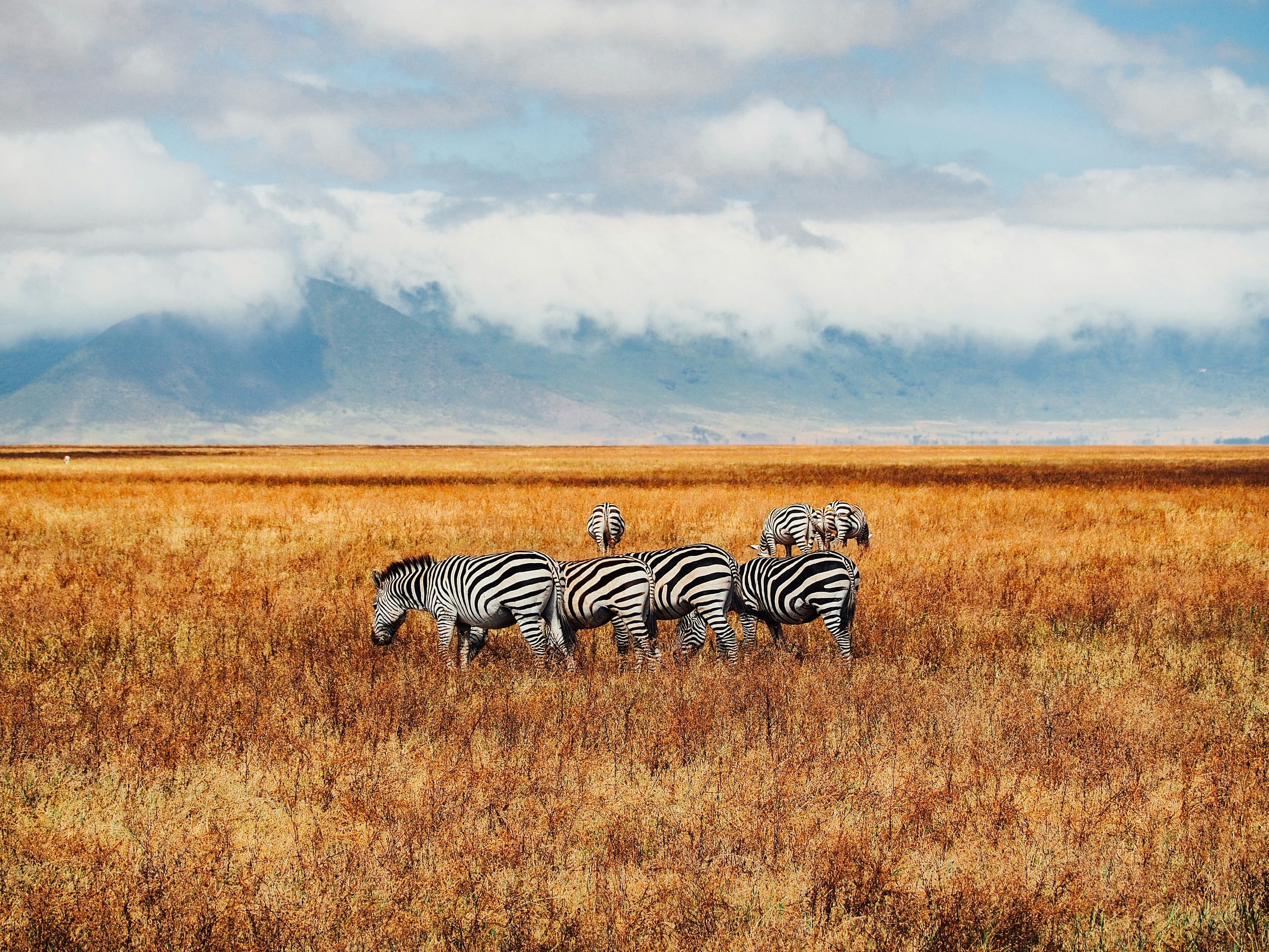 Tanzanie